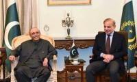 President, PM urge unity, national harmony to protect Pakistan's shared future
