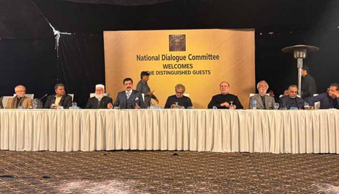 Pakistan Tehreek-e-Insaf leader Sher Afzal Marwat addresses National Dialouge Committee conference in Islamabad, January 7, 2025. — Facebook