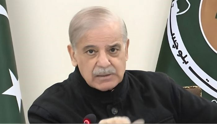 Prime Minister Shehbaz Sharif is addressing the political leadership in Quetta on January 8, 2025.— YouTube/Geo News/screengrab
