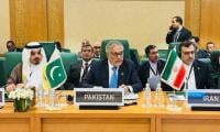 Israel's recognition of 'Somaliland' threatens regional stability, says DPM Dar at OIC