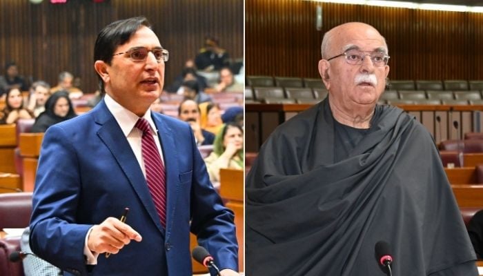 This collage shows PTI chariman Barrister Gohar Ali Khan (left) and TTAP chief Mahmood Khan Achakzai addressing National Assembly. — National Assembly of Pakistan/File
