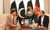 Pakistan, Indonesia reaffirm commitment to stronger defence ties