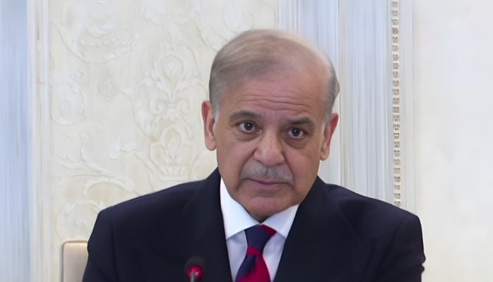 Prime Minister Shehbaz Sharif addresses federal cabinet meeting in Islamabad, January 14, 2026. — Screengrab via YouTube/Geo News