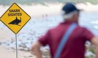 Three shark attacks force Sydney beach closures