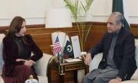 Pakistan, US To Take Joint Action Against 'fraudulent Visa Activities'