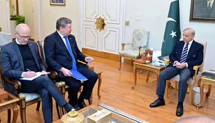 European Union Ambassader to Pakistan Raimundas Karoblis (second from left) meets Prime Minister Shehbaz Sharif in Islamabad on January 29, 2026. — Radio Pakistan