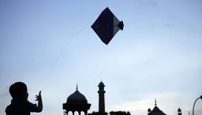 This representational image shows a boy is flying a kite. — Reuters/File