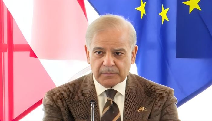 Prime Minister Shehbaz Sharif addresses Pakistan-Austria Business Forum in Vienna on January 16, 2026. — YouTube/Geo News/screengrab