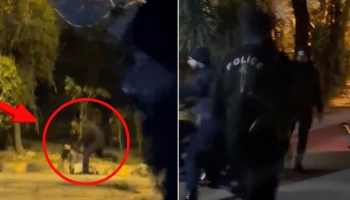 A collage of screengrabs take from the video showing alleged torture by Islamabad polices Dolphin Force. — Geo News