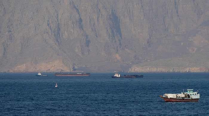 Omani proposal to Iran on Hormuz has regional backing, says source