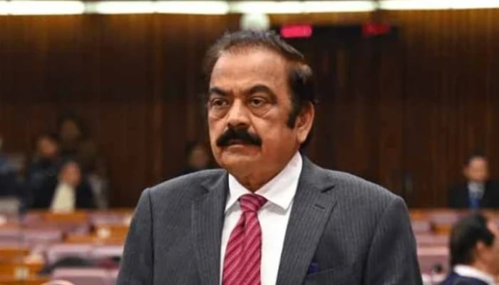 PML-N leader Rana Sanaullah speaks in the National Assembly session on December 17, 2024. — X/@NAofPakistan