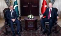 Turkiye to help restore Pak-Afghan ceasefire, President Erdogan tells PM Shehbaz