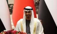 UAE is 'no easy prey', says President Al Nahyan in first public remarks since Iran attacks