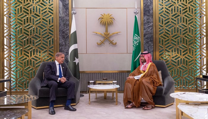 Pakistan, Saudi Arabia reaffirm partnership for peace amid ME tensions