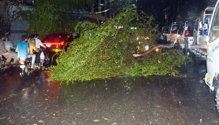 A fallen tree lies on a road after heavy rain, thunderstorms and strong winds lashed Karachi, on March 18, 2026. — APP