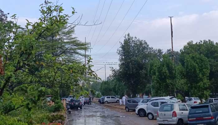 Aftermath of early morning rain in Karachi on March 21, 2026. — Thenews.pk