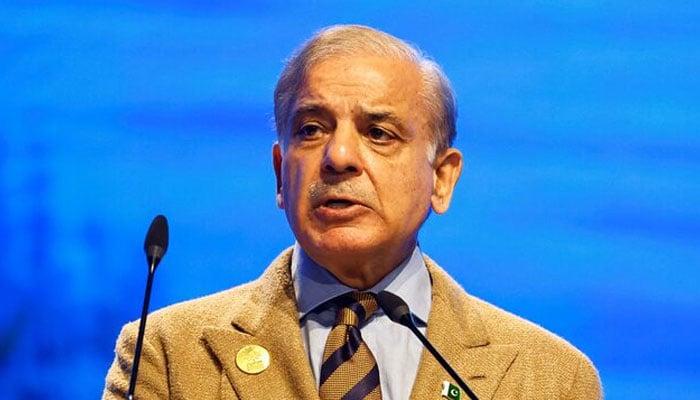 Prime Minister Shehbaz Sharif speaks during the COP27 climate summit in Egypts Red Sea resort of Sharm el-Sheikh, Egypt, November 8, 2022. — Reuters