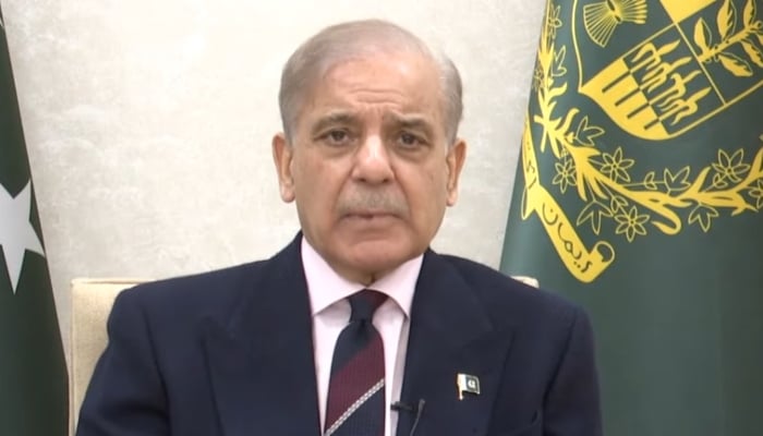 Prime Minister Shehbaz Sharif addresses the nation, April 10, 2026. — Screengrab via YouTube/Geo News