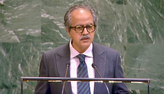Pakistans Permanent Representative to the UN Ambassador Asim Iftikhar Ahmad addressing the General Assembly veto debate, on April 17, 2026. — X@PakistanUN_NY