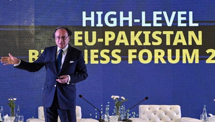 FinMin rules out seeking new funding from other friendly nations after Saudi assistance