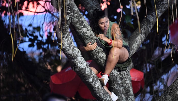 A fan climbs a tree near the stage on Copacabana Beach ahead of Colombian singer Shakiras concert in Rio de Janeiro, Brazil, on May 2, 2026. — AFP