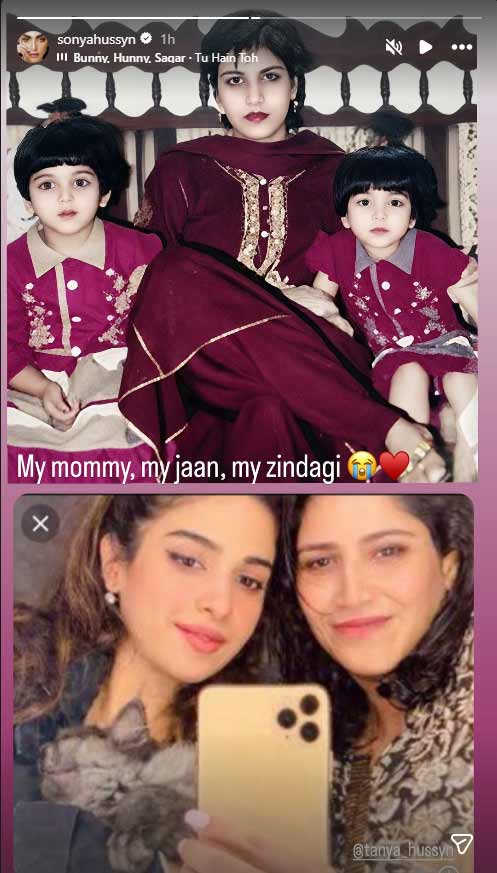 Pakistans showbiz stars share heartfelt Mothers Day tributes