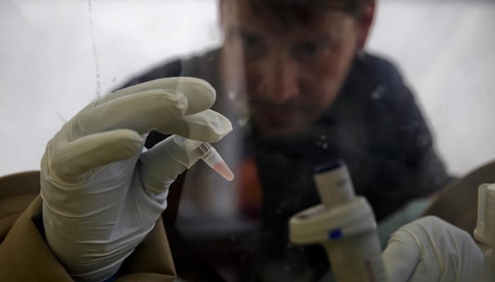 A scientist separates blood cells from plasma cells to isolate any Ebola RNA in order to test for the virus at the European Mobile Laboratory in Gueckedou, Guinea, April 3, 2014. — Reuters