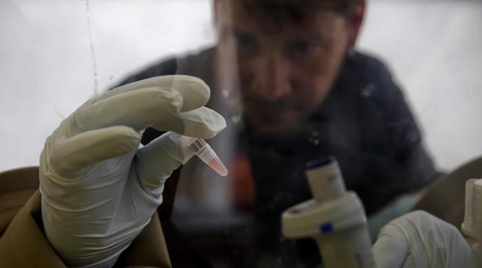 Ebola explained: How this deadly virus spreads, kills its victims, and keeps returning