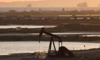 Asian markets cautious, oil dips after Trump holds off on Iran attack