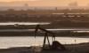 Asian markets cautious, oil dips after Trump holds off on Iran attack