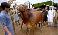 Govt Announces Three-day Public Holiday For Eid Ul Adha