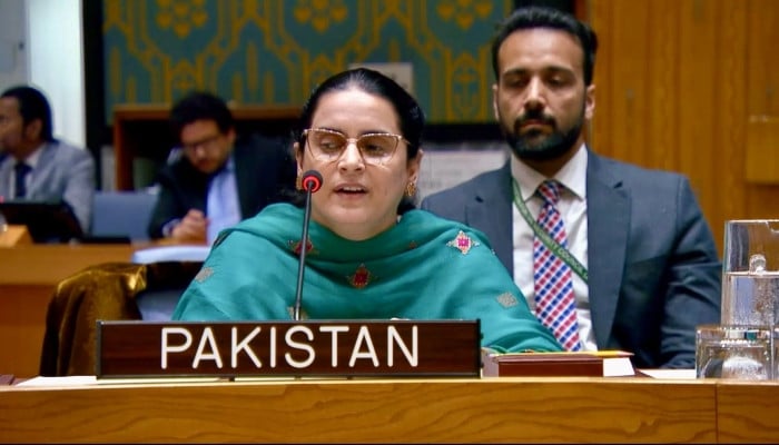 Pakistan condemns India for 'exporting terrorism', illegal Kashmir occupation