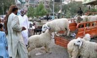 Sindh govt declares four-day Eid ul Adha holiday