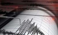 One dead as 4.8-magnitude earthquake jolts parts of Punjab
