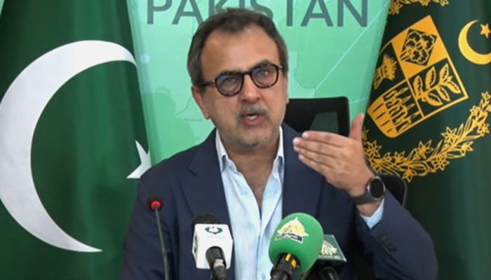 Govt not ending subsidy for protected electricity consumers: minister