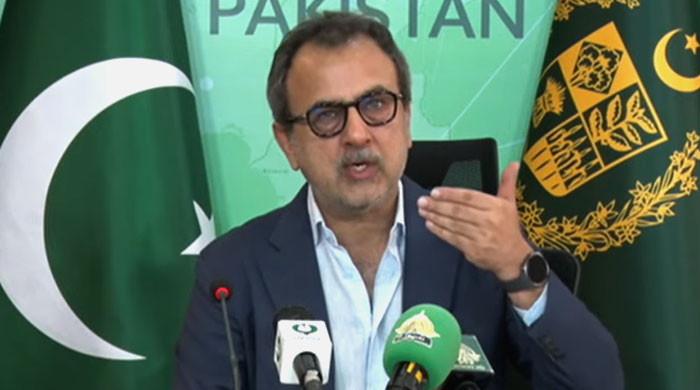 Govt not ending subsidy for protected electricity consumers: minister