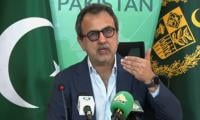 Govt not ending subsidy for protected electricity consumers: minister