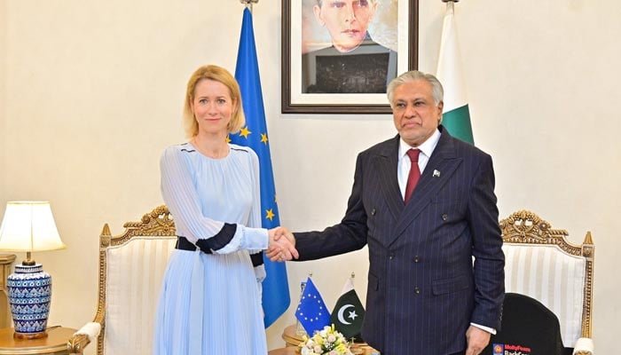 Deputy Prime Minister and Foreign Minister Senator Mohammad Ishaq Dar meets with European Union’s (EU) High Representative for Foreign Affairs and Security Policy Kaja Kallas at Ministry of Foreign Affairs, Islamabad, June 1, 2026. — X/@ForeignOfficePK