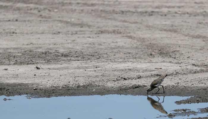 UN urges world to ready for extreme heat risk from El Nino