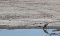 UN Urges World To Ready For Extreme Heat Risk From El Nino