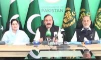 Banned JAAC seeking to destabilise AJK despite govt concessions: minister