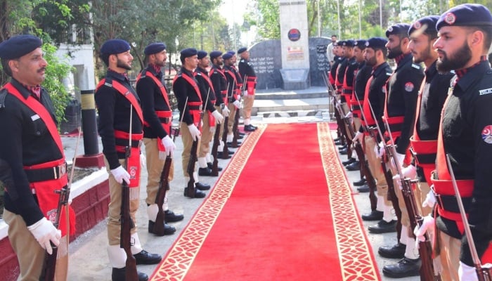 Azad Jammu and Kashmir Police personnel standing alert. — AJK Police website