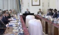 PM Praises Provinces' Support In Tackling Economic Challenges At NEC Meeting