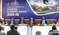 FinMin Muhammad Aurangzeb unveils Economic Survey FY26