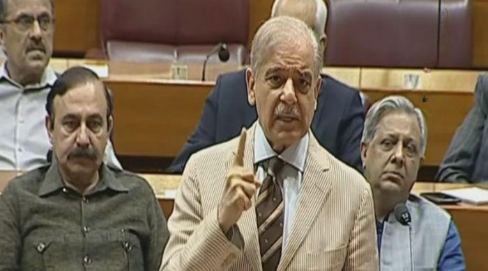 PM Shehbaz renews call for dialogue, invites opposition to Charter of Democracy