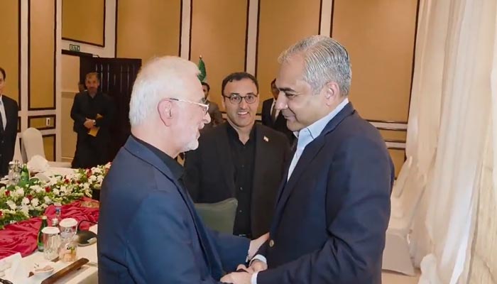 Interior Minister Mohsin Naqvi meets Iranian counterpart Dr Eskandar Momeni in Islamabad, June 24, 2026. — Screengrab via YouTube/Geo News