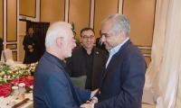 Naqvi meets Iranian counterpart, vows continued efforts for regional stability