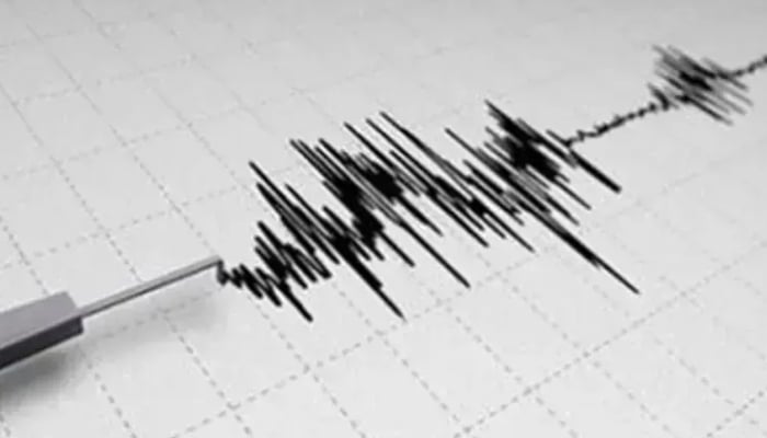 Image showing a seismograph reading. — AFP/File