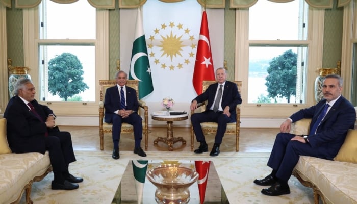 Prime Minister Shehbaz Sharif gestures during a meeting with Turkish President Recep Tayyip Erdogan in Istanbul, Turkiye, July 4, 2026. — X/@CMShehbaz