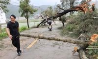 Typhoon Makes Landfall In China, Downgraded To Severe Tropical Storm